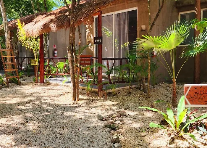 Kin Jungle Deluxe Pensión Tulum