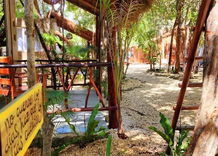 Kin Jungle Deluxe Pensión