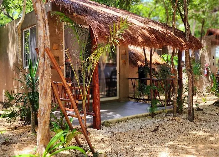 Kin Jungle Deluxe Pensión