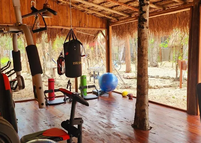 Pensión Kin Jungle Deluxe