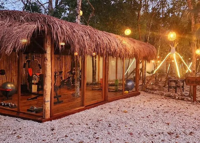 Kin Jungle Deluxe Pensión