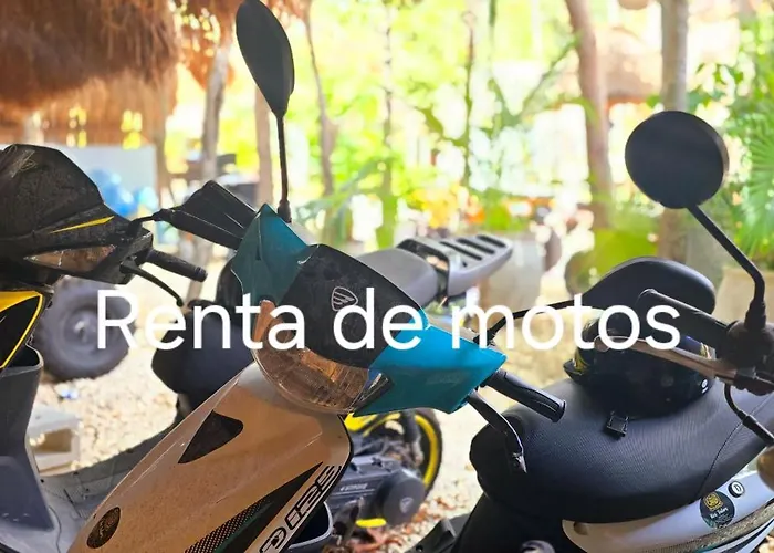 Kin Jungle Deluxe Pensión Tulum