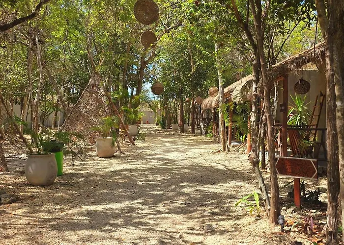 Kin Jungle Deluxe Pensión Tulum