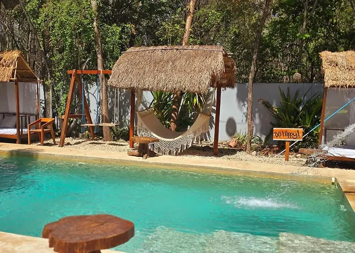 Kin Jungle Deluxe Pensión