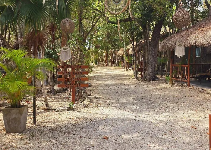 Kin Jungle Deluxe 4*