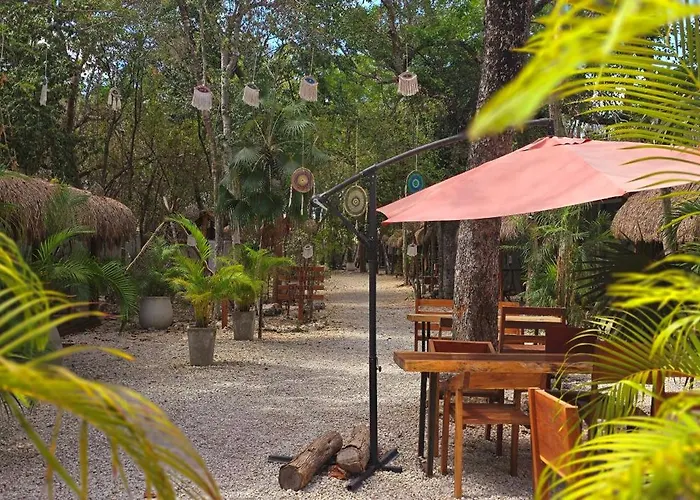 Pensión Kin Jungle Deluxe 4*