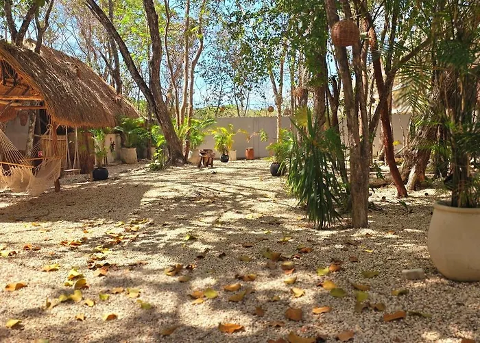 Kin Jungle Deluxe Pensión
