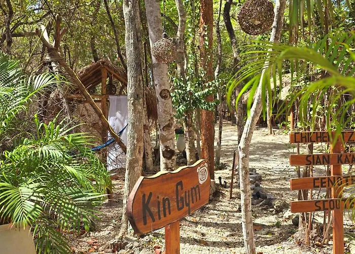 Pensión Kin Jungle Deluxe 4*