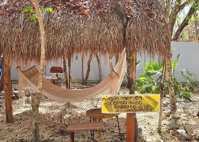Kin Jungle Deluxe
