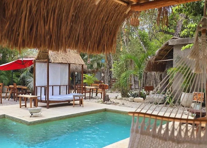Kin Jungle Deluxe Pensión