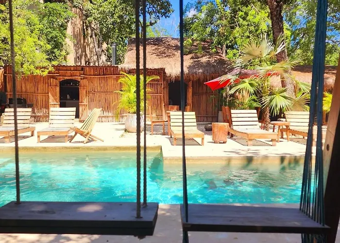 Pensión Kin Jungle Deluxe