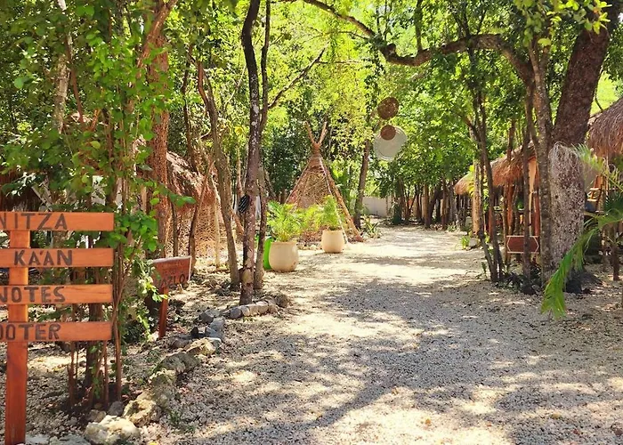 Kin Jungle Deluxe Pensión 4*
