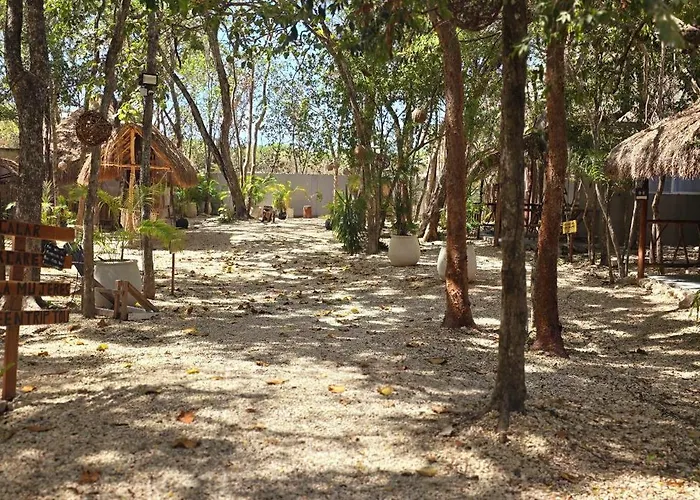 Pensión Kin Jungle Deluxe 4*