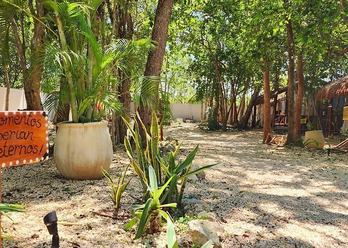 Kin Jungle Deluxe Pensión Tulum