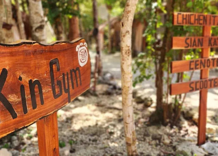 Kin Jungle Deluxe Pensión