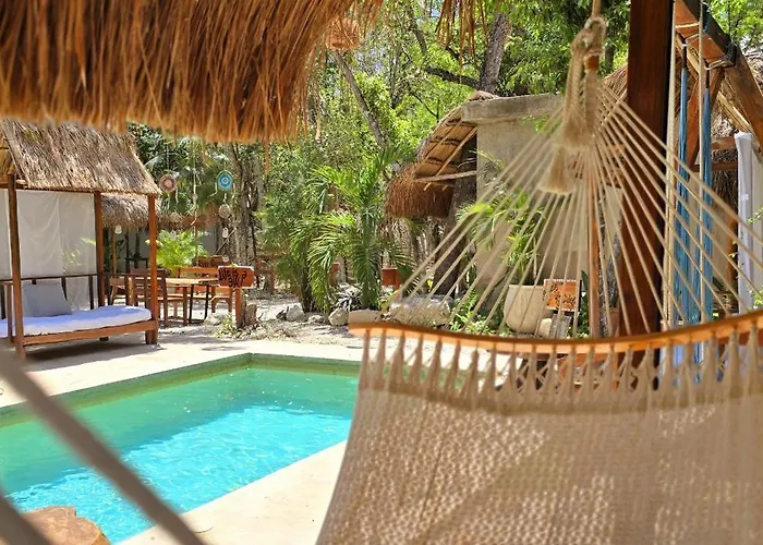 Kin Jungle Deluxe Pensión 4*