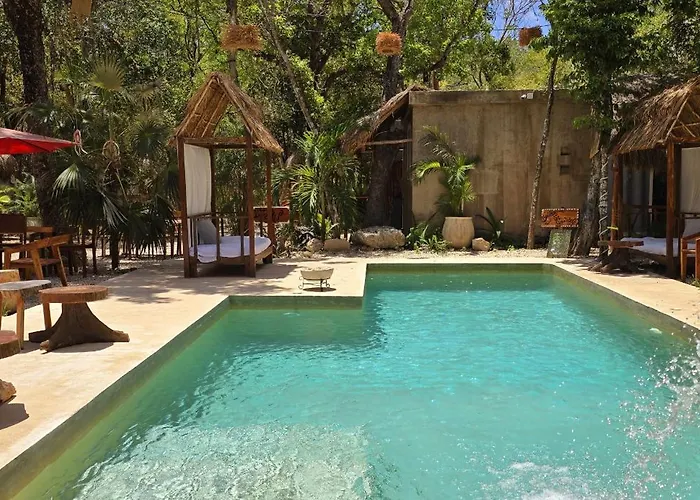 Pensión Kin Jungle Deluxe 4*