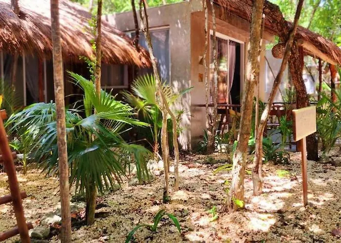Kin Jungle Deluxe