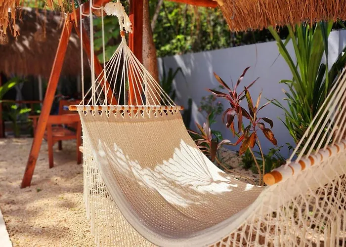 Pensión Kin Jungle Deluxe 4*