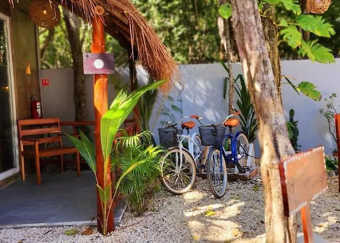 Kin Jungle Deluxe Pensión 4*