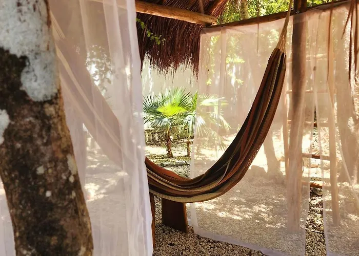 Kin Jungle Deluxe Pensión Tulum