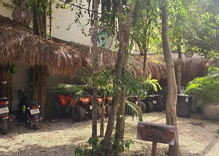 Kin Jungle Deluxe 4*