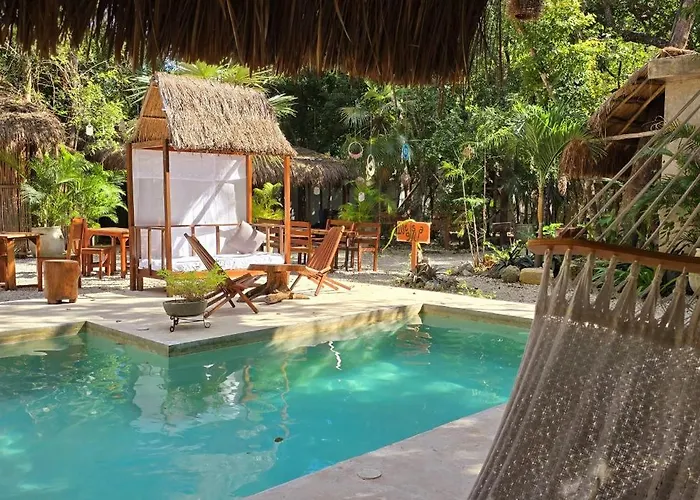Kin Jungle Deluxe Pensión 4*