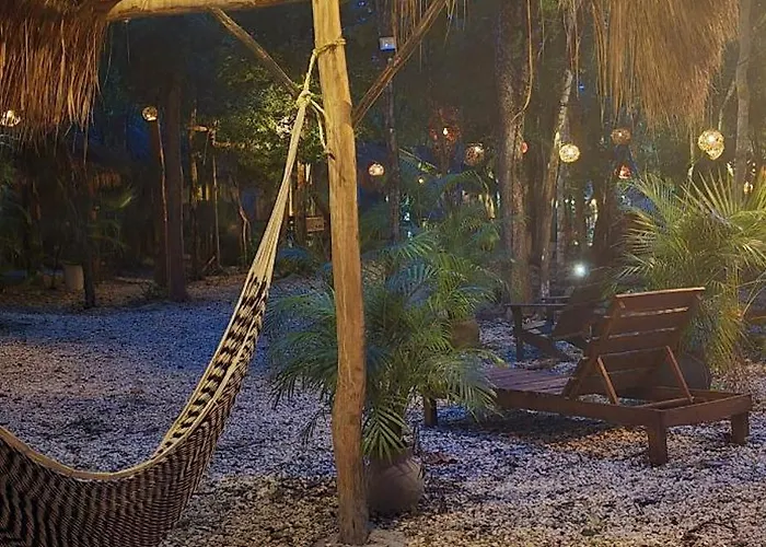 Kin Jungle Deluxe Pensión