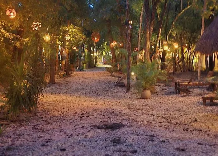 Pensión Kin Jungle Deluxe