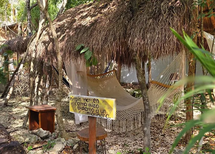 Pensión Kin Jungle Deluxe 4*