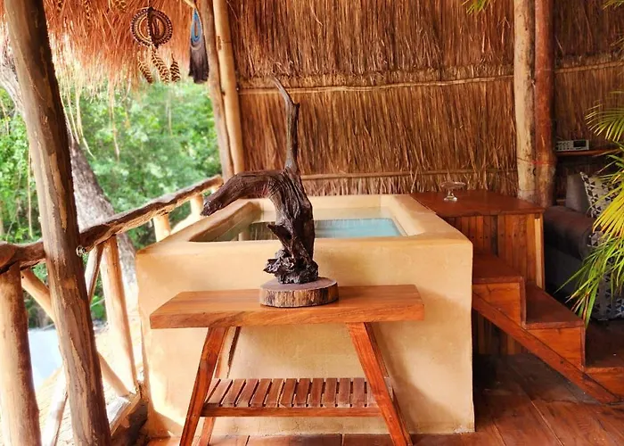 Kin Jungle Deluxe Pensión